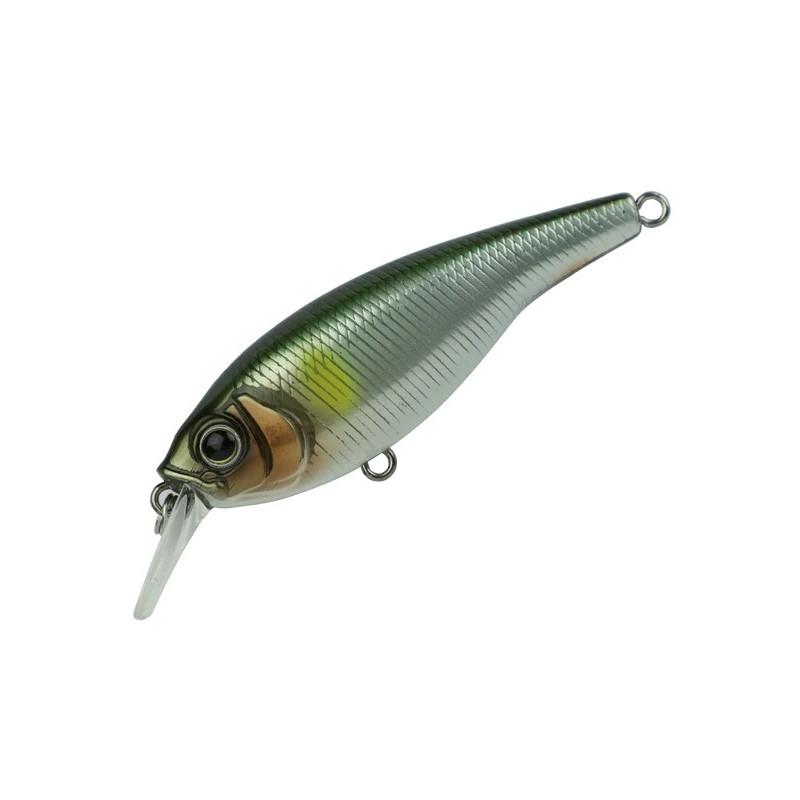 Ayrton 63 MR Gan craft crank flottant