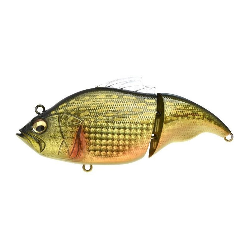 Vatalion 115 F nouveaux coloris