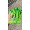 MAMA FROG 30cm et POLY FROG 19.5 cm Coloris exclu Fishmagnet