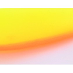 shad GT Delalande 18 et 22 cm coloris exclusif