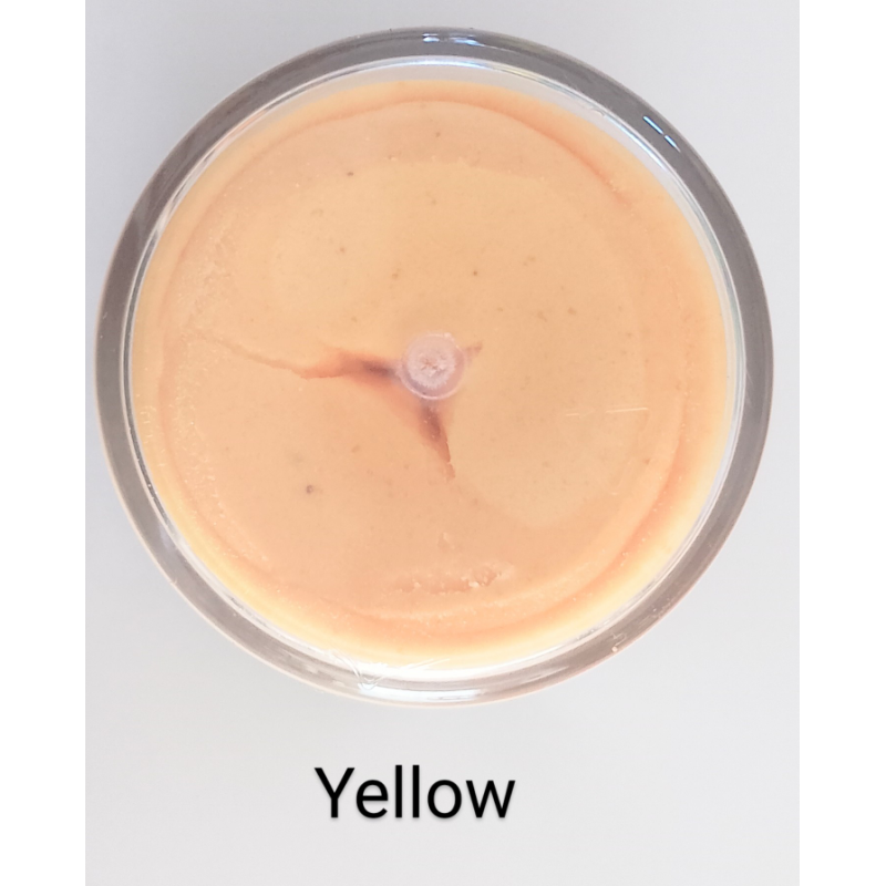 Pâte à truite Berkley pot de 50gr , original scent